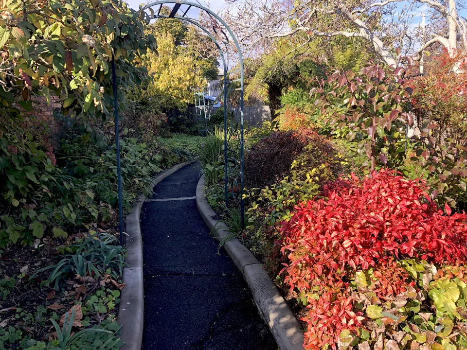 Garden Path 4